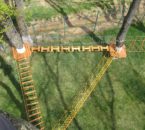 IMG_5264